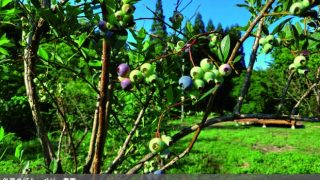 ゲストハウス外戸