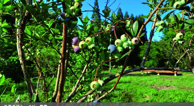 ゲストハウス外戸